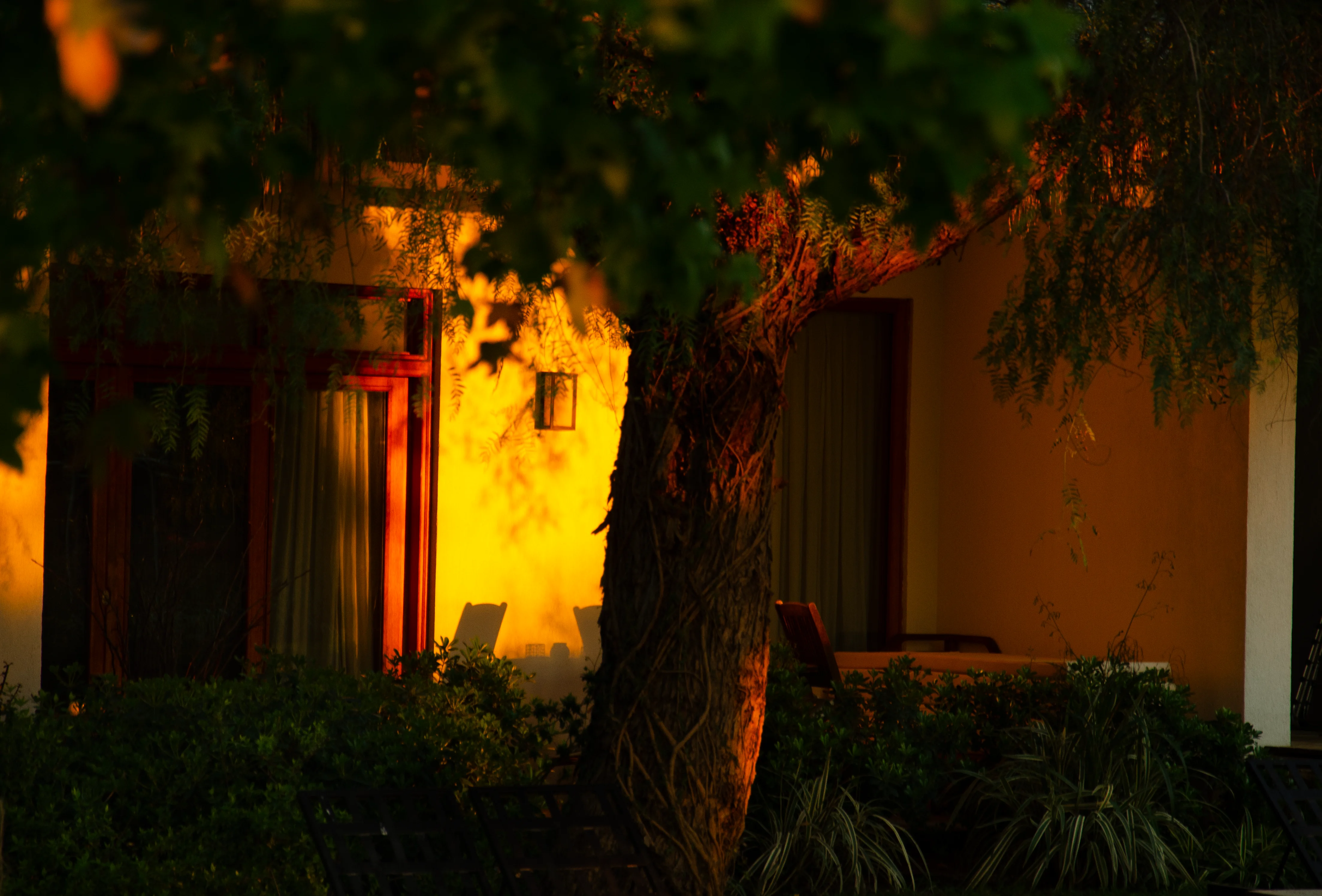 Olympos Lodge Odaları